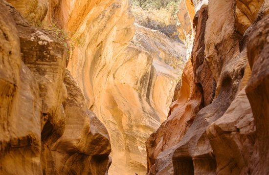 man-standing-bryce-canyon